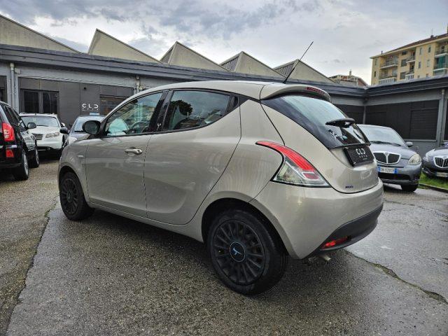 LANCIA Ypsilon 1.2 69 CV 5 porte Elefantino