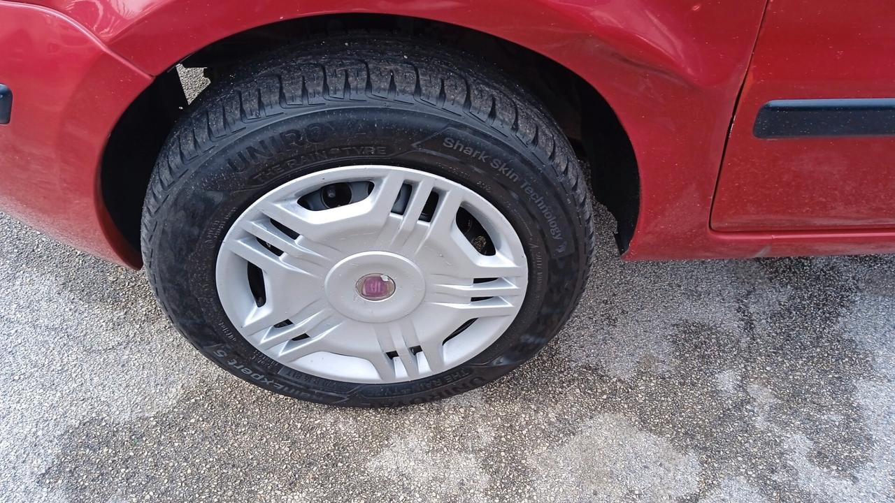 FIAT PANDA 1.2 BENZINA METANO NEO PATENTATI