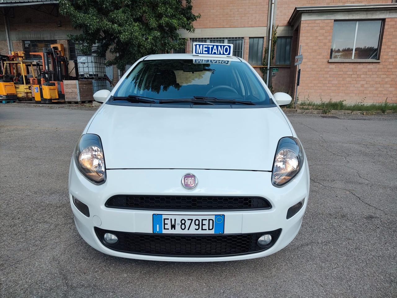Fiat Punto 1.4 8V 5 porte Natural Power Lounge, OK NEOPATENTATI, GARANZIA L.12 MESI