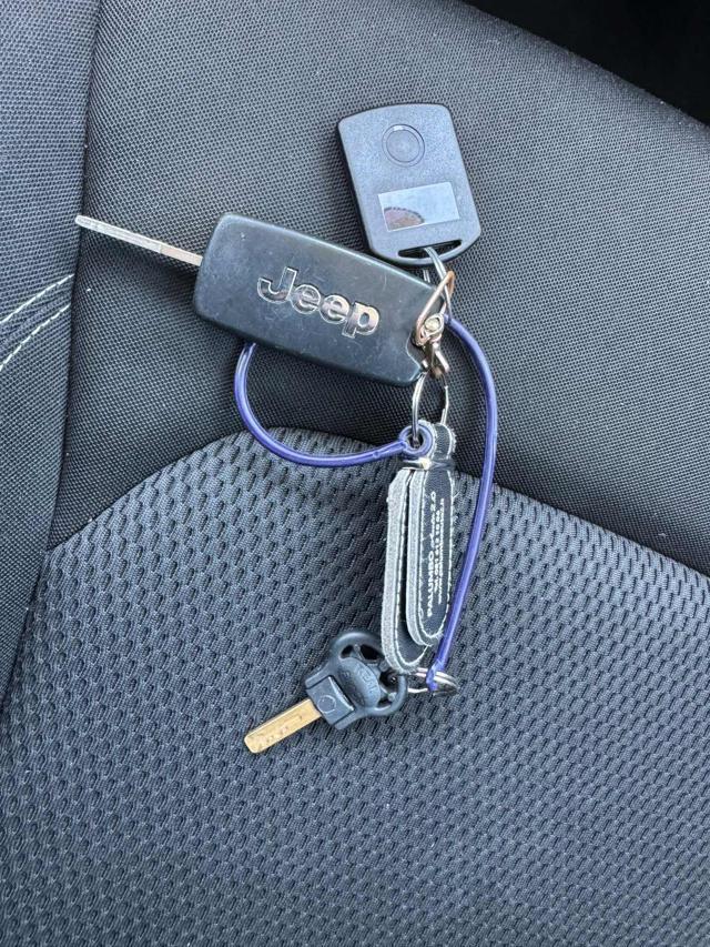 JEEP Renegade 1.6 Mjt 120 CV Limited SOGGIORNO GRATIS