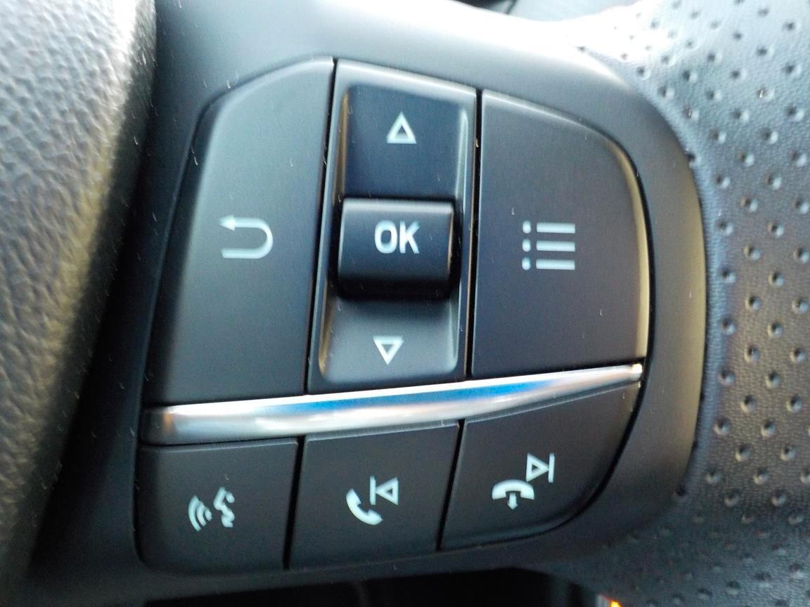 Ford Puma 1.0 EcoBoost Hybrid 125 CV S&S ST-Line X