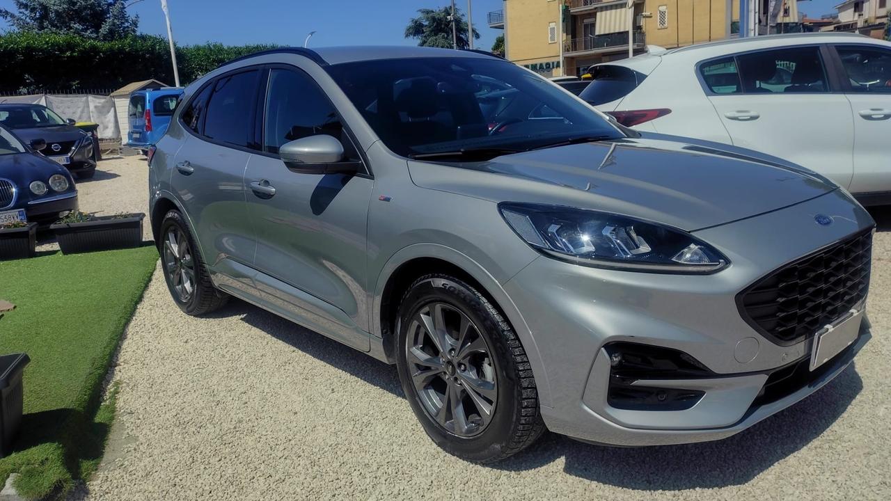 Ford Kuga 1.5 EcoBlue 120 CV 2WD ST-Line