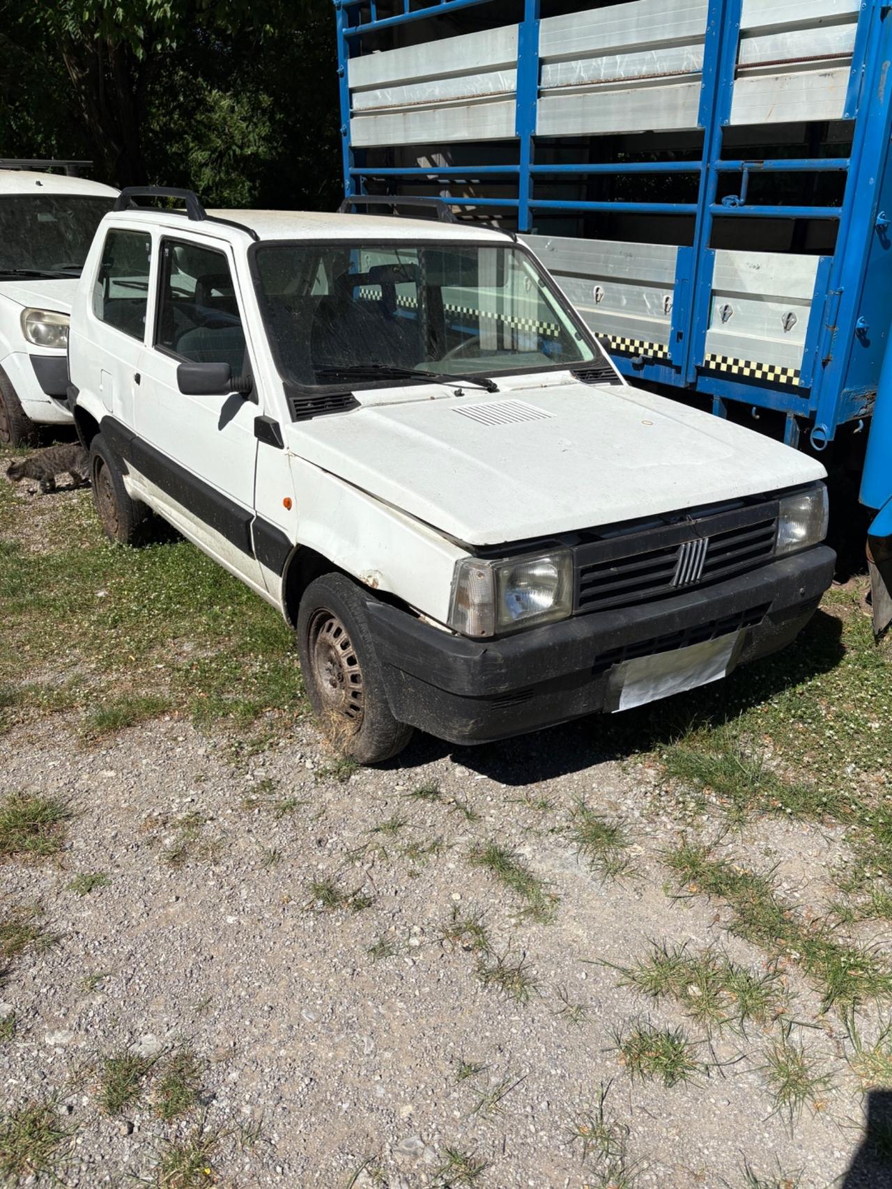 Fiat Panda 1100 i.e. cat College