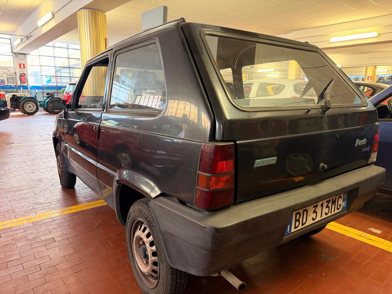 Fiat Panda 900 i.e. cat Young
