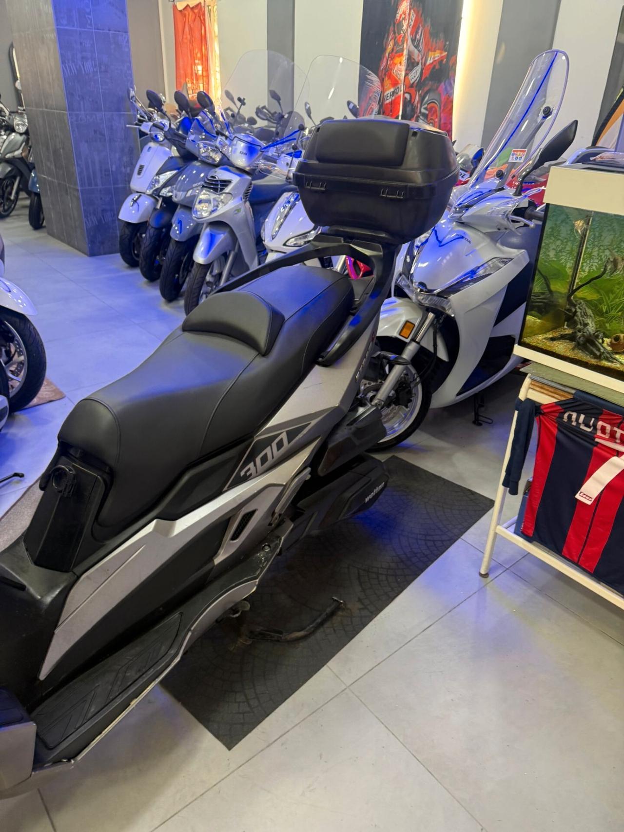 Wottan Motor Storm-S 300 Storm s