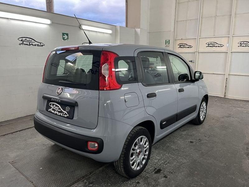 FIAT Panda Panda 1.2 tua da 109,00 al mese