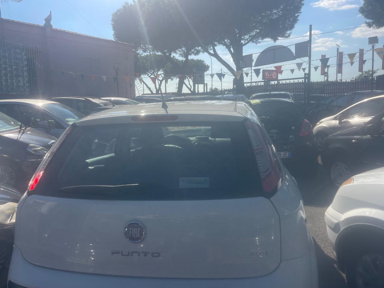 Fiat Punto Evo 1.4 5 porte MyLife EasyPower