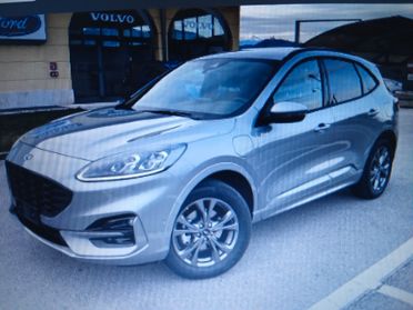 Ford Kuga 1.5 EcoBlue 120 CV 2WD ST-Line X