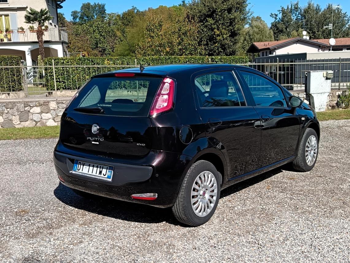 Fiat Punto Evo 1.4 Active - GARANZIA