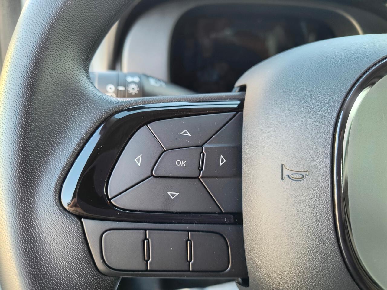 Fiat Panda 1.0 FireFly S&S Hybrid KM0