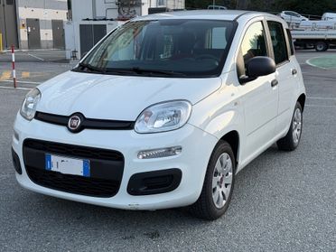 Fiat Panda 1.2 BENZINA 69CV / EURO 6 - NEOPATENTATI