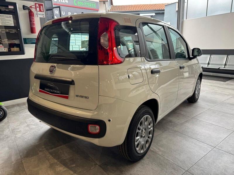 FIAT Panda 3ª serie Panda 1.0 FireFly S&S Hybrid