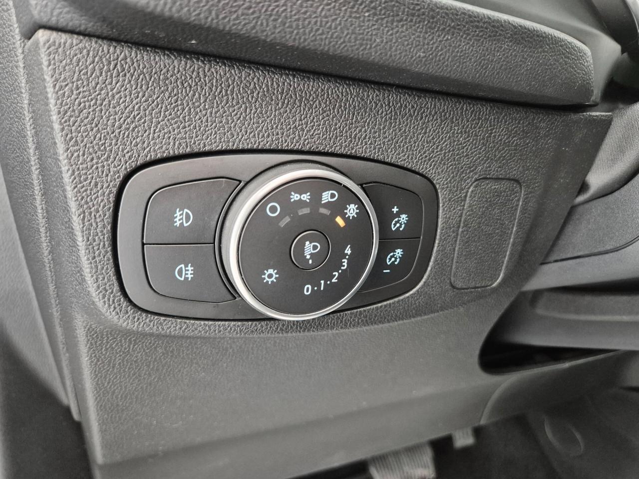 Ford Focus 1.5 EcoBlue 120 CV automatico SW Business Co-Pilot