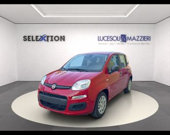 FIAT Panda 1.0 70cv Hybrid Panda