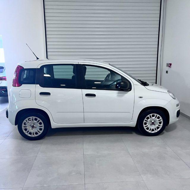 FIAT Panda 1.2 EasyPower Easy