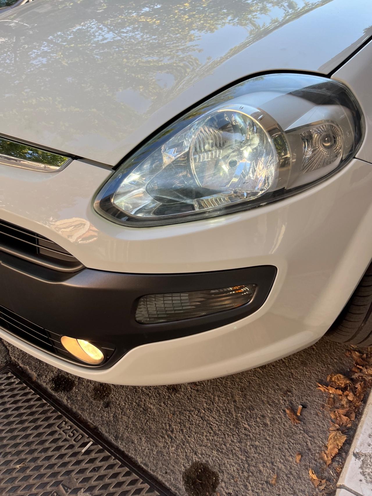 Fiat Punto Evo 1.3 Mjt 75 CV 5 porte Dynamic