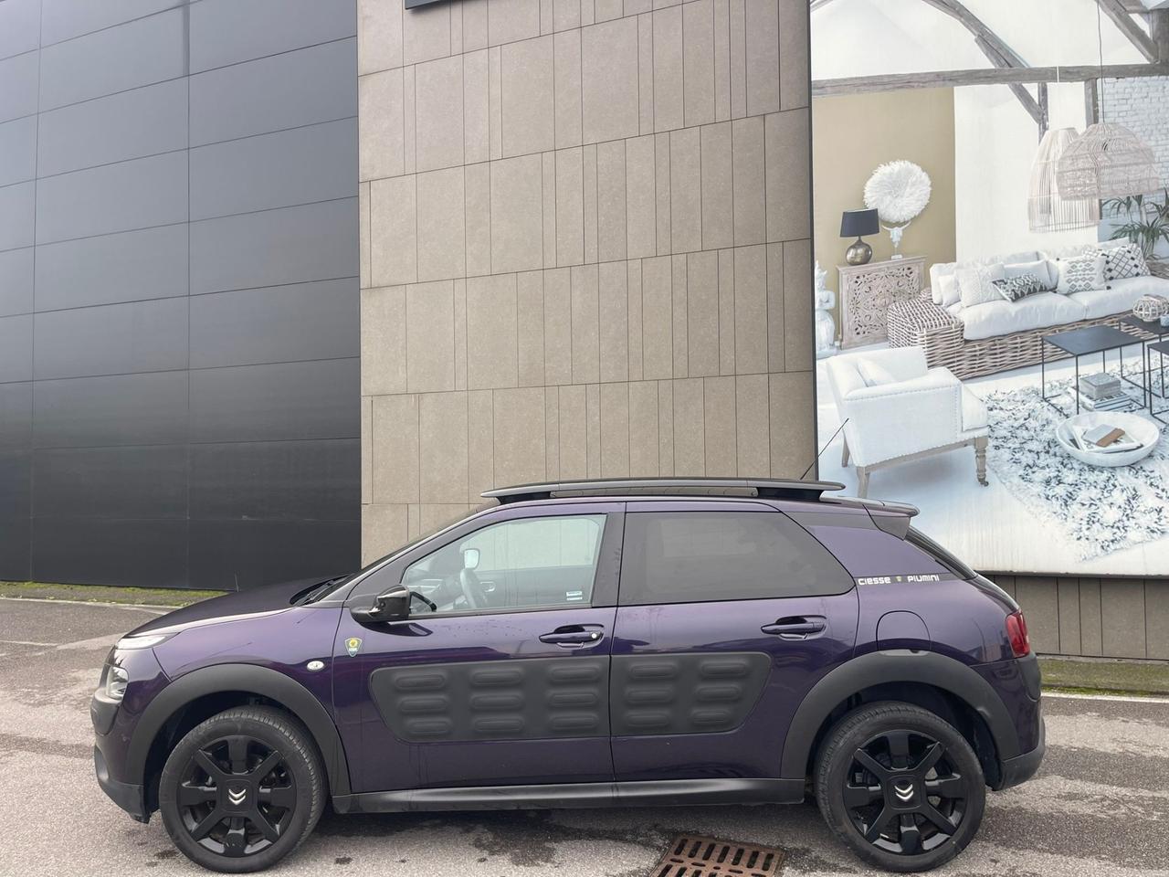 Citroen C4 Cactus BlueHDi 100 Shine