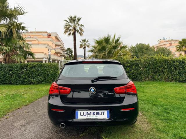 BMW 116 d 5p. Business