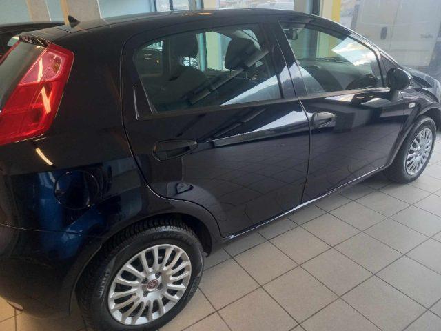 FIAT Punto 1.2 8V 5 porte Street