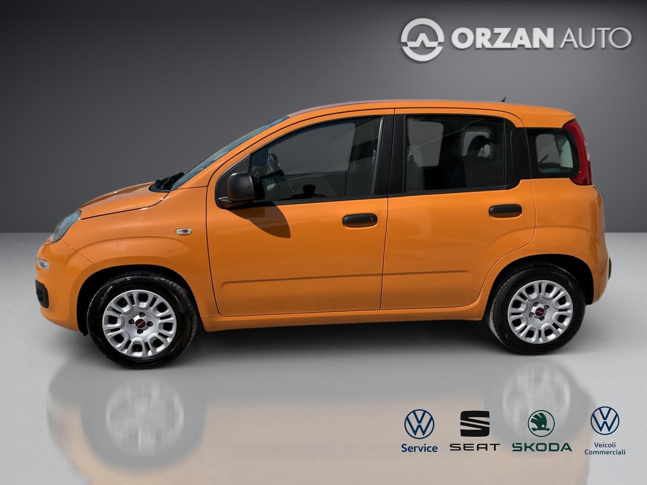 Fiat Panda 1.2 Easy VENDITE 3491558563 - 3478673115