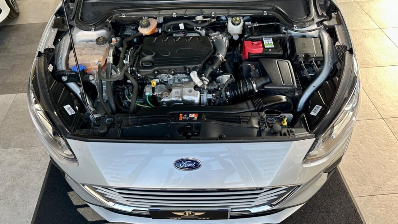 Ford Focus 1.5 EcoBlue 95 CV SW Business