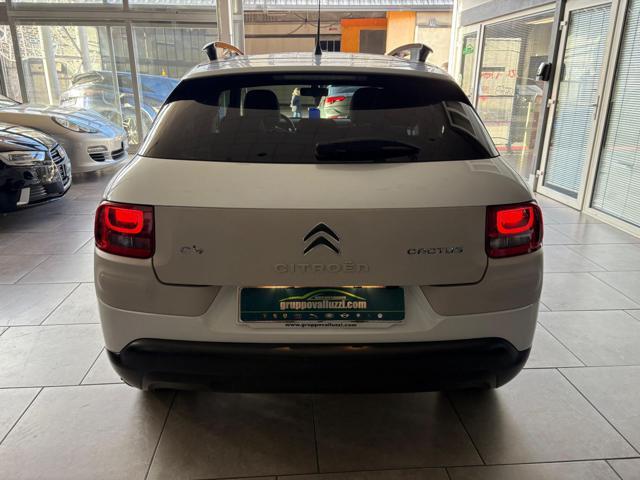 CITROEN C4 Cactus Shine 1.2 PureTech 110CV TETTO PANO. CRUISE NAVI