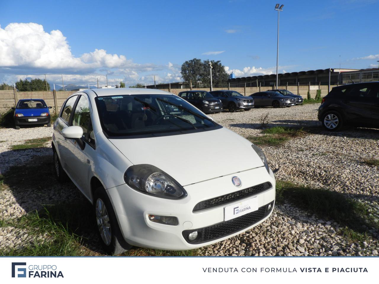 FIAT Punto III - Punto 5p 1.4 natural power Lounge 70cv E6