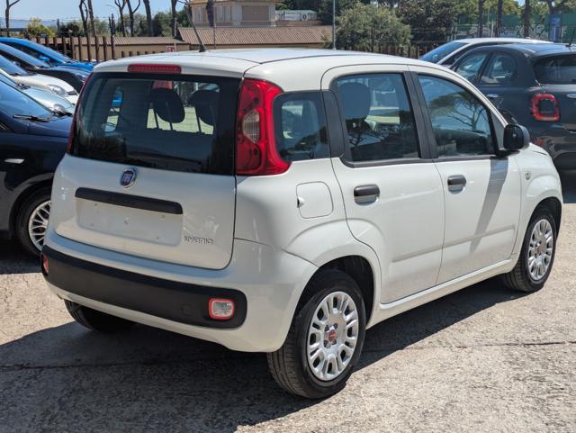 FIAT Panda HYBRID FIREFLY 1.0cc 70cv