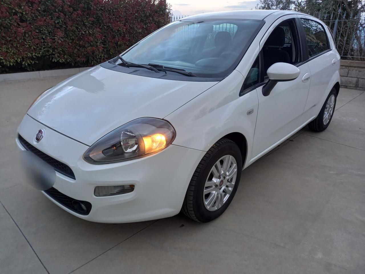 Fiat Punto 1.3 MJT II 75 CV 5 porte Lounge