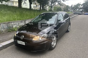 VOLKSWAGEN Golf Variant Business 1.4 TGI Highline BlueMotion