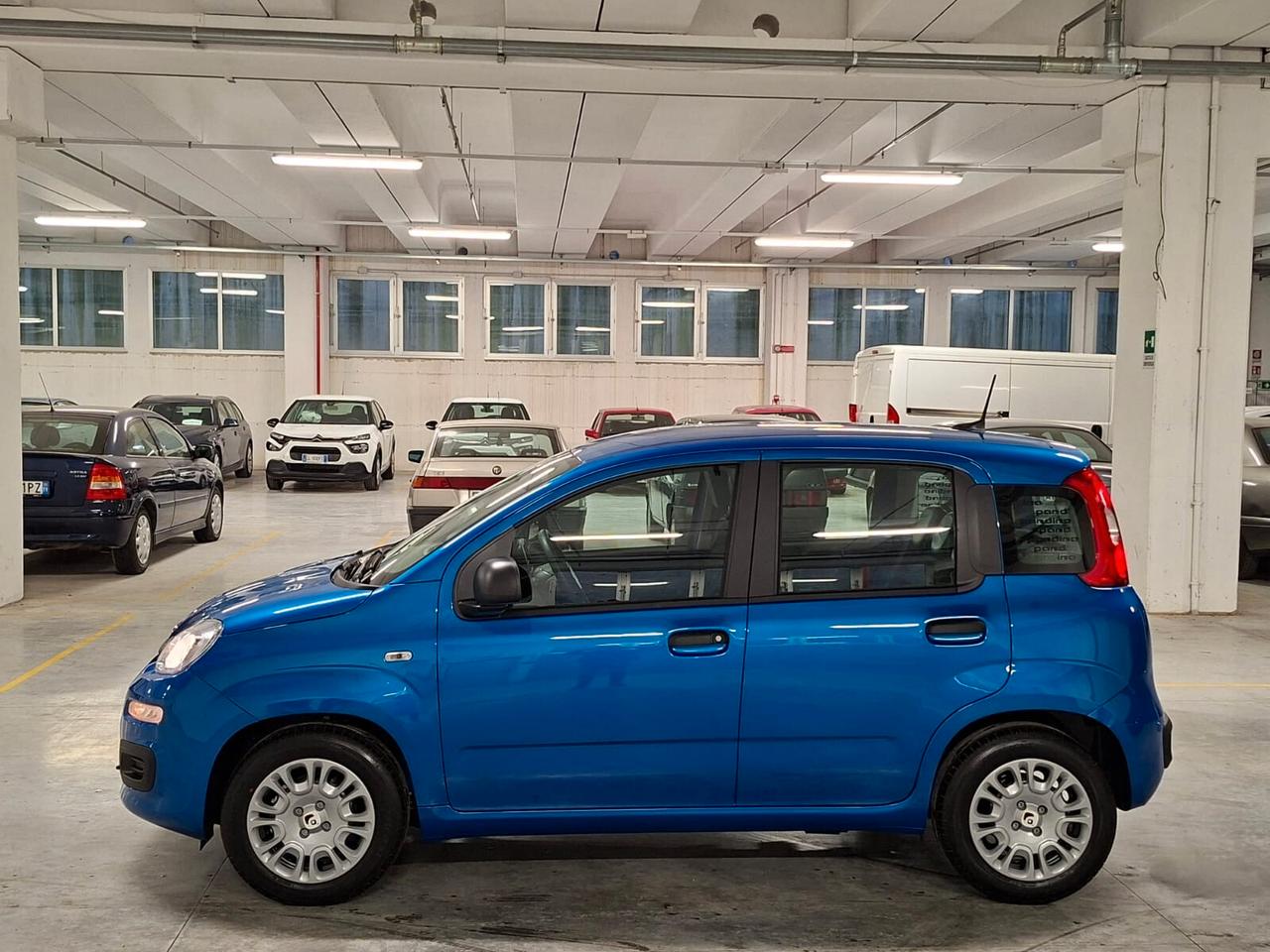 Fiat Panda 1.0 FireFly Hybrid 70CV Icon Km.0 (756)
