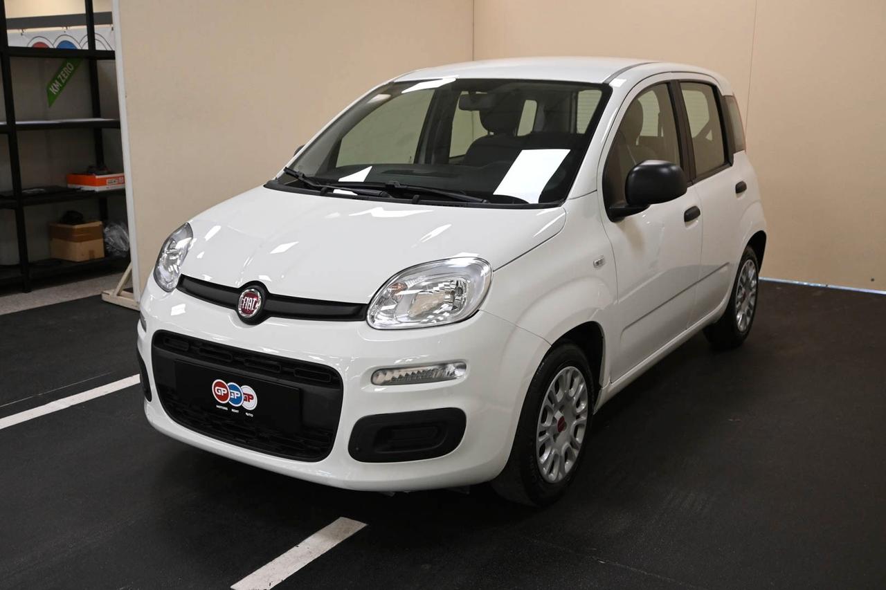 FIAT Panda 3ª serie Panda 1.0 FireFly S&S Hybrid
