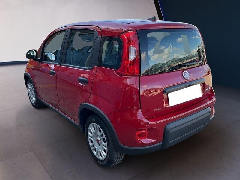 FIAT Panda My24 1.0 70cv Hybrid Panda