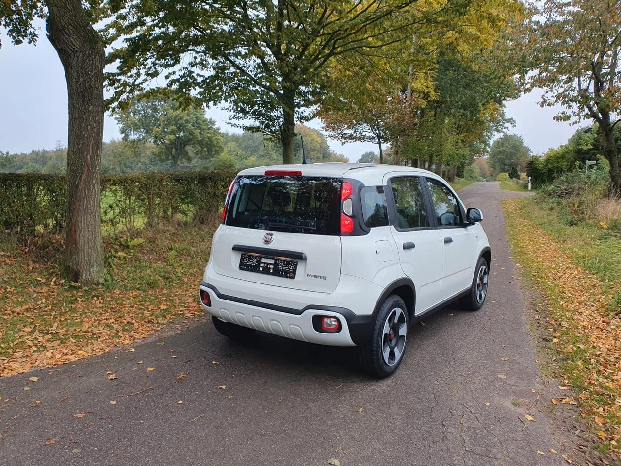 Fiat Panda 1.0 FireFly S&S Hybrid City Cross