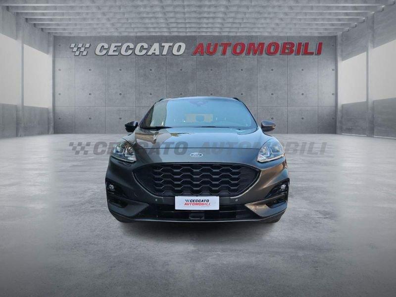 Ford Kuga Kuga 2.5 full hybrid ST-Line 2wd 190cv cvt