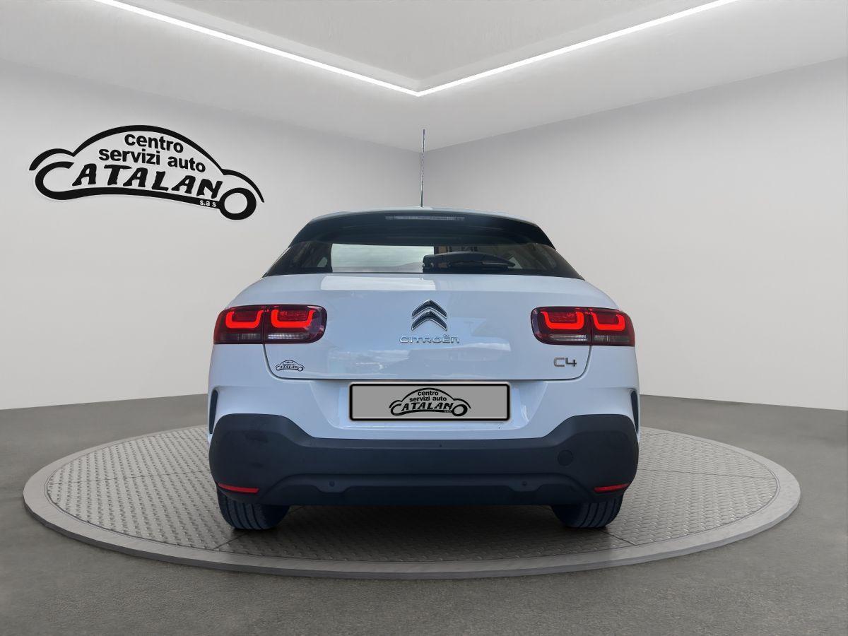 CITROEN - C4 Cactus - 1.5 BlueHDi 120 S&S EAT6 Shine