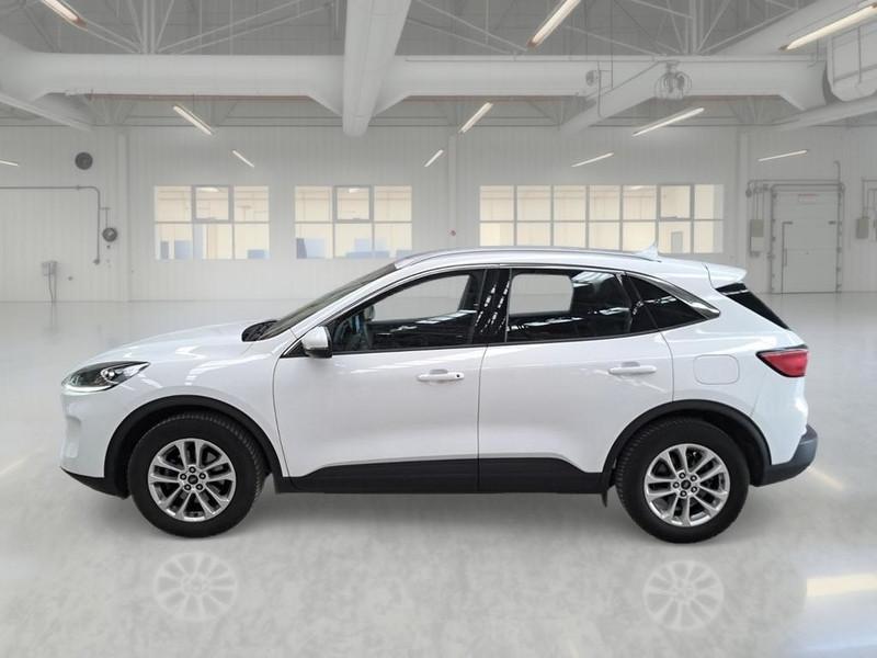 FORD KUGA 1.5 EcoBlue 120CV 2WD Titanium Business