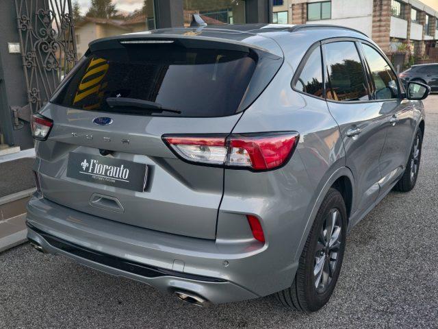 FORD Kuga 1.5 EcoBlue 120 CV 2WD ST-Line