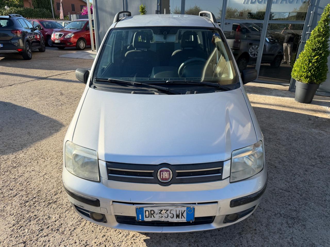 Fiat Panda 1.2 Emotion OK NEOPATENTATO!