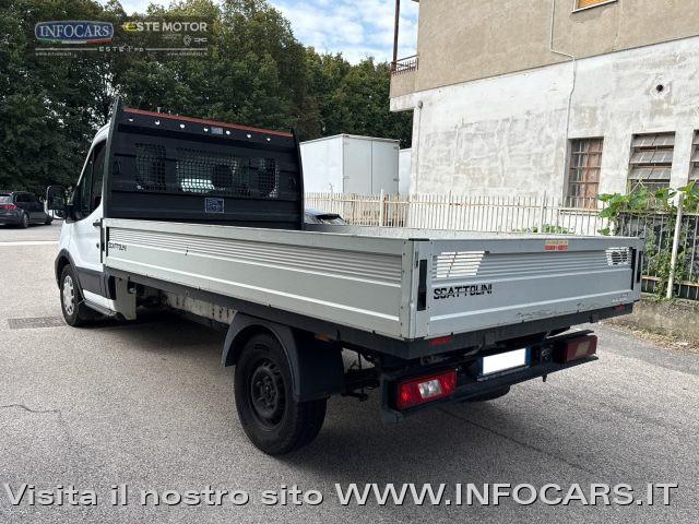 FORD Transit 350 2.0 EcoBlue 130CV Cassone Scattolini + IVA