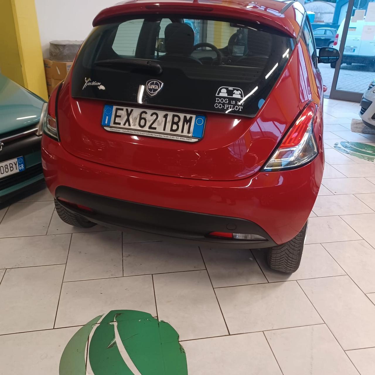 PERFETTA NEOPATENTATI LANCIA YPSILON