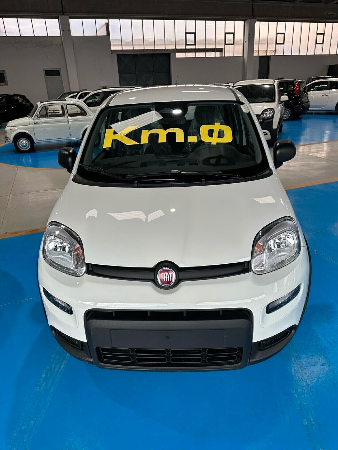 Fiat Panda 1.0 70cv Hybrid PANDINA KM 0 2024