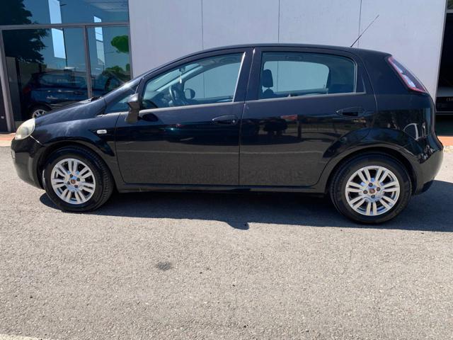 FIAT Punto 1.2 8V 5 porte Lounge