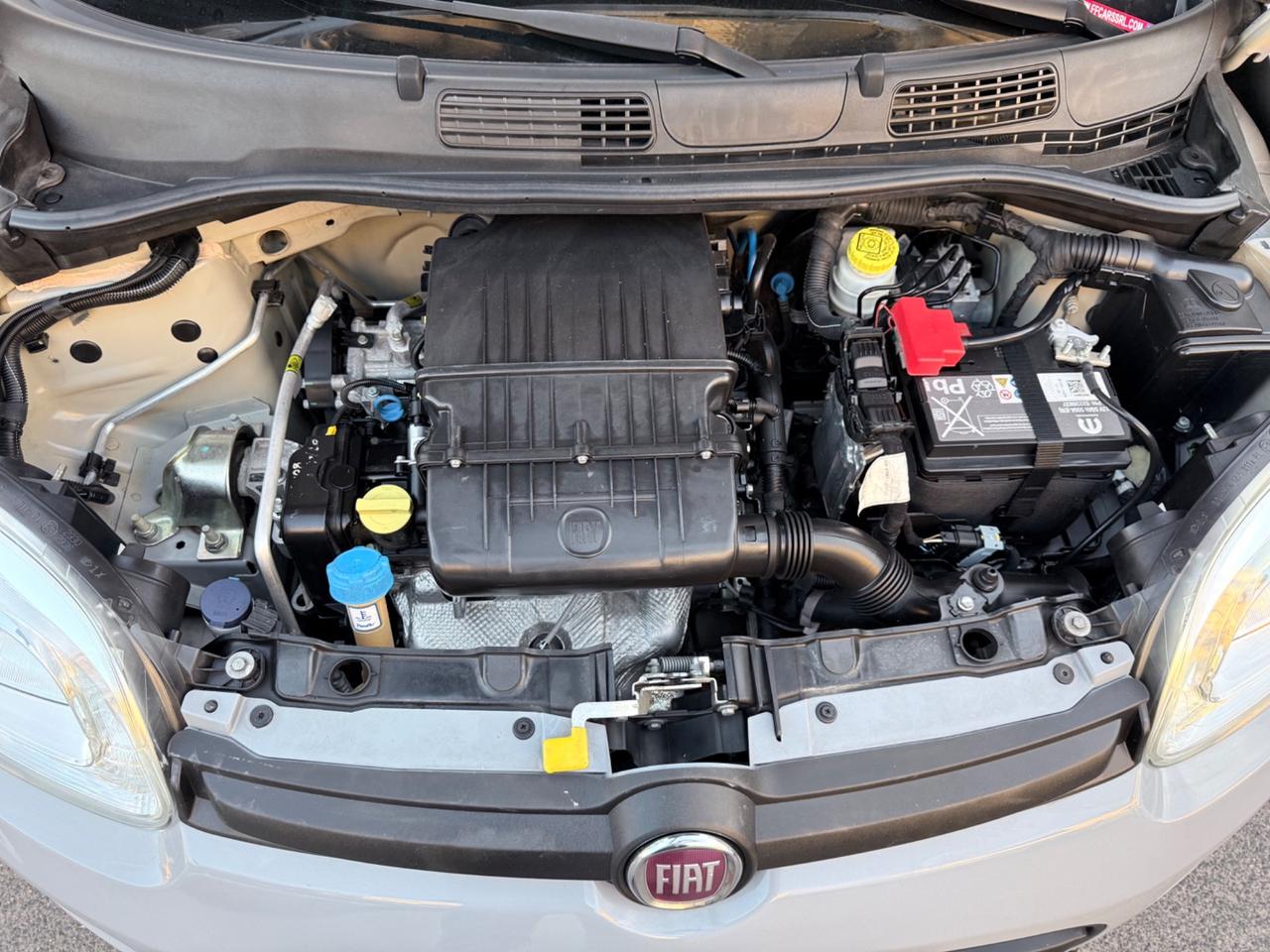 Fiat Panda 1.2 Lounge
