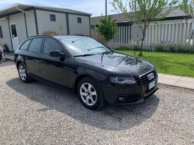 AUDI A4 Avant 2.0 TDI 143CV F.AP. multitronic Advanced