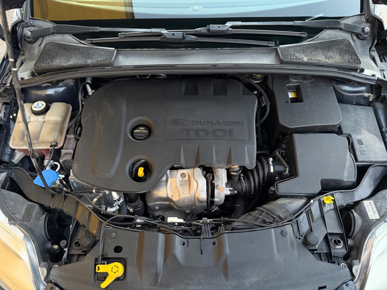 Ford Focus 1.6 TDCi 105 CV ECOnetic