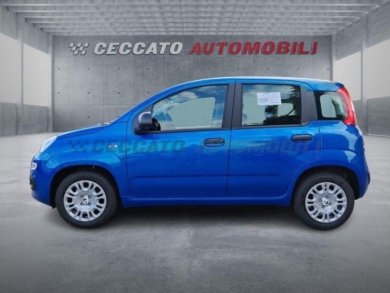 FIAT Panda Panda 1.0 firefly hybrid s&s 70cv