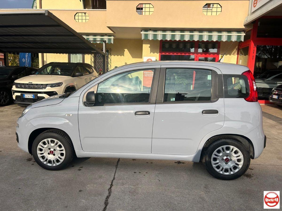 FIAT - Panda 1.2 Easy easypower Gpl 69cv my19