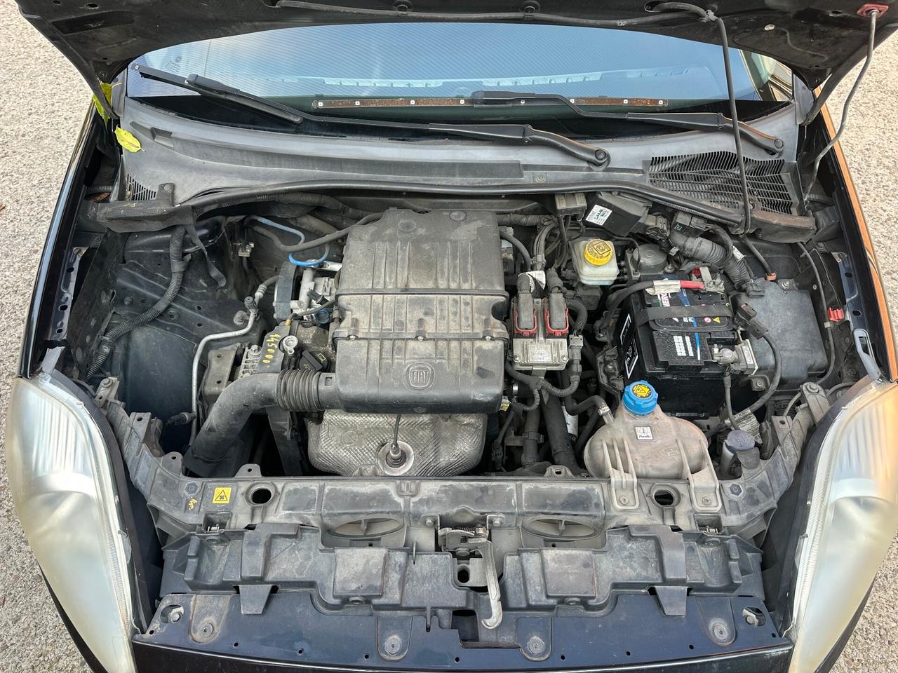 Fiat Punto Evo 1.2 5 porte S&S Dynamic