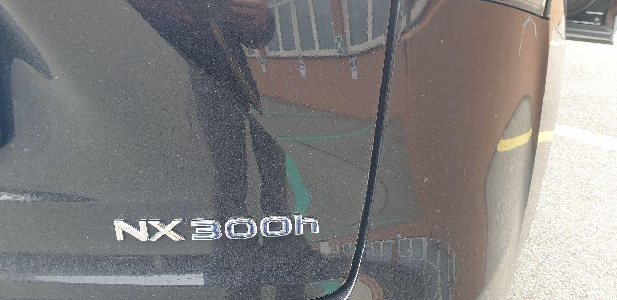 LEXUS - NX - Hybrid 4WD Executive